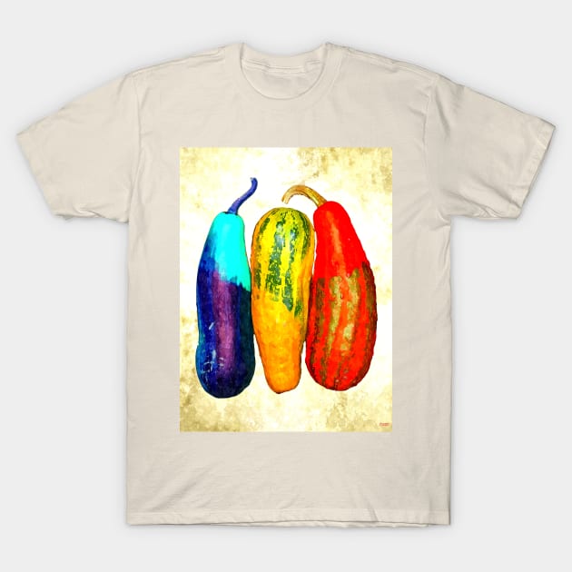 Ornamental Gourd T-Shirt by danieljanda